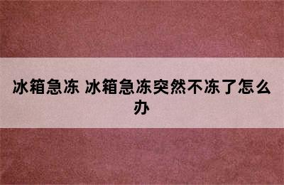 冰箱急冻 冰箱急冻突然不冻了怎么办